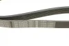 Ремень генератора Fiat Ducato/Citroen Jumper 1.9D/TD 94-/Renault Trafic 2.5dCI 03- (6PK1153) BOSCH 1 987 947 944 (фото 7)
