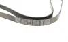 Ремінь генератора Ford Connect (-AC)/Opel Combo 1.2/1.4i -01 (6PK1460) BOSCH 1 987 947 948 (фото 1)