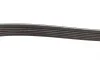Ремінь генератора Ford Connect (-AC)/Opel Combo 1.2/1.4i -01 (6PK1460) BOSCH 1 987 947 948 (фото 6)