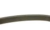 Ремінь генератора поліклиновий VW T5/Amarok 2.0TDI 09-/Ford Focus/Kuga/Galaxy 98-/Opel Astra J/Insignia A 1.6 08- (6PK1555) BOSCH 1 987 947 949 (фото 3)