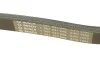 Ремінь генератора поліклиновий VW T5/Amarok 2.0TDI 09-/Ford Focus/Kuga/Galaxy 98-/Opel Astra J/Insignia A 1.6 08- (6PK1555) BOSCH 1 987 947 949 (фото 4)