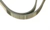 Ремінь генератора поліклиновий VW T5/Amarok 2.0TDI 09-/Ford Focus/Kuga/Galaxy 98-/Opel Astra J/Insignia A 1.6 08- (6PK1555) BOSCH 1 987 947 949 (фото 5)