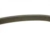Ремінь генератора поліклиновий VW T5/Amarok 2.0TDI 09-/Ford Focus/Kuga/Galaxy 98-/Opel Astra J/Insignia A 1.6 08- (6PK1555) BOSCH 1 987 947 949 (фото 9)