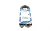 Ремінь генератора Citroen Berlingo/Peugeot Partner 1.1/1.4 96-08 (6PK1560) BOSCH 1 987 947 950 (фото 1)