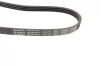 Ремінь генератора Hyundai i10/i20/i30 1.1/1.6CRDi 08-13/Fiat Doblo/Punto/Stilo 1.2/1.4 01- (4PK673) BOSCH 1 987 947 961 (фото 7)