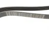 Ремень генератора Fiat Scudo/Citroen Berlingo/VW Golf IV 1.8/1.9TDI 97- (6PK1660) BOSCH 1 987 947 978 (фото 2)