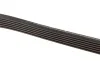 Ремень генератора Fiat Scudo/Citroen Berlingo/VW Golf IV 1.8/1.9TDI 97- (6PK1660) BOSCH 1 987 947 978 (фото 3)