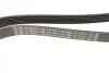 Ремень генератора Fiat Scudo/Citroen Berlingo/VW Golf IV 1.8/1.9TDI 97- (6PK1660) BOSCH 1 987 947 978 (фото 7)