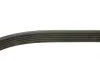 Ремінь генератора Toyota Corolla 1.4/1.6 02-06/Ford Escort 1.6/1.8 92-99/Audi A6/100 91-97 (6PK1675) BOSCH 1 987 947 979 (фото 3)