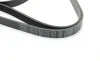Ремень генератора VW Crafter 2.0TDI 11-16/Opel Corsa D 1.7CDTI 06-11/Ford Fiesta 00-03 (6PK1610) BOSCH 1 987 947 983 (фото 3)