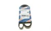 Ремень генератора VW Crafter 2.0TDI 11-16/Opel Corsa D 1.7CDTI 06-11/Ford Fiesta 00-03 (6PK1610) BOSCH 1 987 947 983 (фото 6)