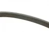 Ремень генератора Mazda 2 1.3/1.5 07-/Toyota Corolla 1.4/1.6 00-02 (6PK1840) BOSCH 1 987 947 984 (фото 8)