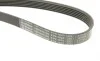 Ремінь генератора Opel Astra 1.7CDTI 04-10/ Subaru Outback 3.0-3.6 05-/ VW Passat 3.2 05- (6PK1623) BOSCH 1 987 947 985 (фото 5)