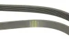 Ремень генератора VW LT 2.8TDI 01-06/Volvo 850/S70/S80/V70 2.5TDI 95-06/Opel Astra 1.6 12- (6PK1685) BOSCH 1 987 947 986 (фото 4)