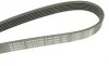Ремень генератора VW LT 2.8TDI 01-06/Volvo 850/S70/S80/V70 2.5TDI 95-06/Opel Astra 1.6 12- (6PK1685) BOSCH 1 987 947 986 (фото 5)