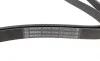 Ремінь генератора Hyundai Santa Fe/Kia Magentis 05-/Lexus GS 5.0 14-/MB (W202/W210) 93-02 (6PK2055) BOSCH 1 987 947 988 (фото 2)