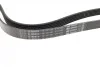 Ремень генератора MB W140/211 M113/119/ Audi A4/A5 3.0TDI 04- (6PK2460) BOSCH 1 987 947 990 (фото 7)