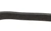 Ремінь генератора Mazda 3 1.3/1.6 03-09 (6PK2013) BOSCH 1 987 947 994 (фото 6)