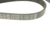 Ремінь генератора MB E-class (W211) 5.5 02-08 (M113)/Land Rover Range Rover 5.0SCV8 13- (6PK2445) BOSCH 1 987 947 998 (фото 4)
