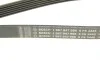 Ремінь генератора MB E-class (W211) 5.5 02-08 (M113)/Land Rover Range Rover 5.0SCV8 13- (6PK2445) BOSCH 1 987 947 998 (фото 5)