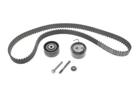 Комплект ГРМ Citroen C2/C3/C4/Peugeot 1007/206/307 1.4 16V 03- (25.4x135z) BOSCH 1987948212