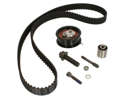 Комплект ГРМ VW Caddy II/T4 1.9D/TD 90-04 (25x137z) BOSCH 1987948255
