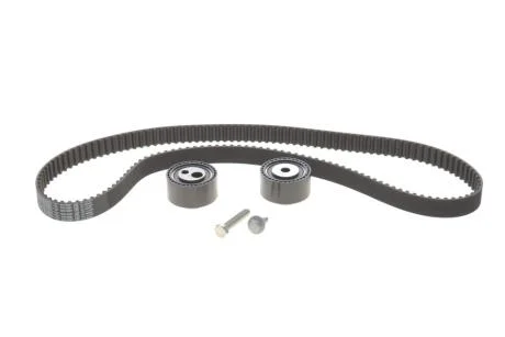 Комплект ГРМ Citroen C5/Peugeot 406 2.2 HDi 01- BOSCH 1987948278