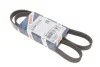 Ремінь генератора Fiat Doblo/Punto 1.2/1.4 99- (5PK1175) BOSCH 1 987 948 301 (фото 1)