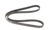 Ремінь генератора Fiat Doblo/Punto 1.2/1.4 99- (5PK1175) BOSCH 1 987 948 301 (фото 4)