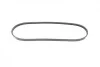 Ремень генератора Renault Clio 1.4 90-98/Ford Sierra 1.8TD 88-93/Subaru Justy 1.3GX 95-03 (3PK815) BOSCH 1 987 948 308 (фото 8)