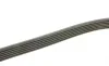 Ремень генератора Fiat Doblo1.3-1.6 D 10-/Opel Astra F/Corsa B/Vectra B 1.4-1.8/ 94-03 (6PK1530) BOSCH 1 987 948 315 (фото 3)