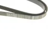 Ремень генератора Fiat Doblo1.3-1.6 D 10-/Opel Astra F/Corsa B/Vectra B 1.4-1.8/ 94-03 (6PK1530) BOSCH 1 987 948 315 (фото 4)