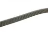 Ремень генератора Fiat Doblo1.3-1.6 D 10-/Opel Astra F/Corsa B/Vectra B 1.4-1.8/ 94-03 (6PK1530) BOSCH 1 987 948 315 (фото 6)
