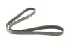 Ремень генератора Audi A6 2.5TDI 94-97/Ford Fiesta 1.4TDCi 01-12/Peugeot Partner 1.6HDi 05-(6PK1340) BOSCH 1 987 948 316 (фото 2)