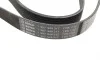 Ремінь генератора Renault Megane/Scenic 1.9dCi/2.0 03-/Nissan Juke 1.6 10- (7PK1122) BOSCH 1 987 948 317 (фото 3)
