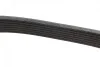 Ремінь генератора Renault Megane/Scenic 1.9dCi/2.0 03-/Nissan Juke 1.6 10- (7PK1122) BOSCH 1 987 948 317 (фото 7)