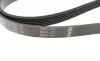 Ремень генератора Audi A6 S6/RS6 quattro 99-05/A8 3.7/4.2/S8 quattro 94-02 (6PK2680) BOSCH 1 987 948 323 (фото 3)
