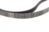 Ремень генератора Audi A6 S6/RS6 quattro 99-05/A8 3.7/4.2/S8 quattro 94-02 (6PK2680) BOSCH 1 987 948 323 (фото 8)
