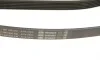 Ремень генератора Jeep Grand Cherokee II 2.7 CRD 01-05 (6PK2603) BOSCH 1 987 948 335 (фото 4)