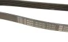 Ремень генератора Jeep Grand Cherokee II 2.7 CRD 01-05 (6PK2603) BOSCH 1 987 948 335 (фото 5)