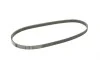 Ремень генератора BMW 3 (E36)/5 (E34/E39)/7 (E38) 2.5TD 91-04 (4PK785) BOSCH 1 987 948 338 (фото 2)