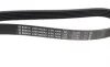 Ремінь генератора Fiat Doblo 1.3D Multijet/1.3JTD/Ford Focus 1.8/2.0 04- (6PK1306) BOSCH 1 987 948 343 (фото 3)