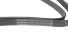 Ремень генератора Ford Transit 2.3 16V 00-06 (RWD) (6PK1955) BOSCH 1 987 948 344 (фото 2)
