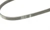 Ремінь генератора Suzuki Baleno 95-02/ Toyota Auris/Verso 1.3-1.6 i 10- (4PK900) BOSCH 1 987 948 349 (фото 1)