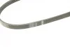 Ремінь генератора Suzuki Baleno 95-02/ Toyota Auris/Verso 1.3-1.6 i 10- (4PK900) BOSCH 1 987 948 349 (фото 7)