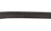 Ремінь генератора Citroen Berlingo/Jumpy/Fiat Scudo/Peugeot Partner 1.9D 98-/Hyundai Accent 02-05 BOSCH 1 987 948 353 (фото 3)