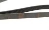 Ремінь генератора Citroen Berlingo/Jumpy/Fiat Scudo/Peugeot Partner 1.9D 98-/Hyundai Accent 02-05 BOSCH 1 987 948 353 (фото 5)