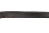 Ремінь генератора Citroen Berlingo/Jumpy/Fiat Scudo/Peugeot Partner 1.9D 98-/Hyundai Accent 02-05 BOSCH 1 987 948 353 (фото 8)