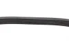 Ремень генератора Ford Mondeo I/II 1.8TD 93-00 (5PK575) BOSCH 1 987 948 354 (фото 4)
