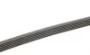 Ремень генератора Audi 100/A6 4.2 V8 92-97/A8 3.3TDI 00-02 (6PK2615) BOSCH 1 987 948 366 (фото 3)
